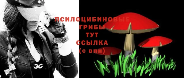 прущий лед Елабуга
