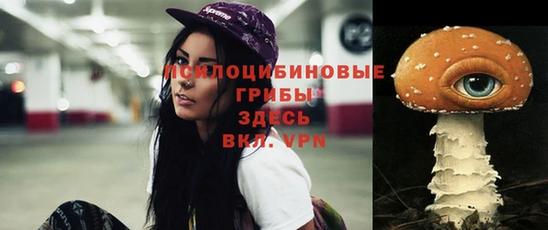 jwh Ельня