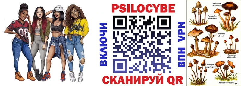 продажа наркотиков  МЕГА   Псилоцибиновые грибы мицелий  Шумиха 